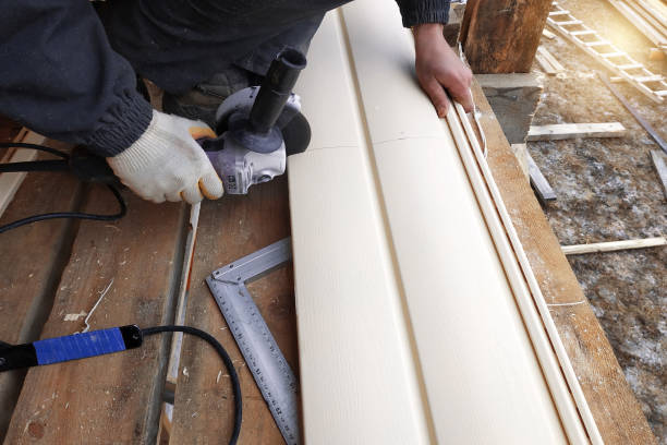 Best Storm Damage Siding Repair  in Diberville, MS
