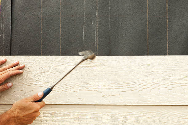 Best Composite Siding  in Diberville, MS